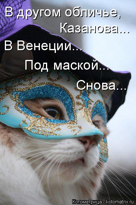 В другом обличье, Казанова... В Венеции... Под маской... Снова...... Котоматрица: В другом обличье, Казанова... В Венеции... Под маской... Снова...