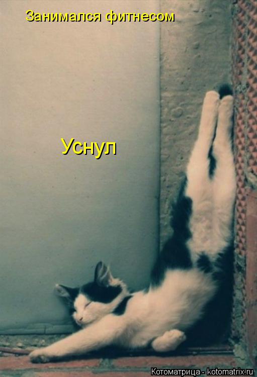 Занимался фитнесом Уснул... Котоматрица: Занимался фитнесом Уснул