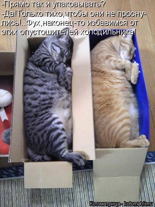 -Прямо так и упаковывать? -Да!Только тихо,чтобы они не просну- лись!..Фух,наконец-то избавимся от эт... Котоматрица: -Прямо так и упаковывать? -Да!Только тихо,чтобы они не просну- лись!..Фух,наконец-то избавимся от этих опустошителей холодильника!
