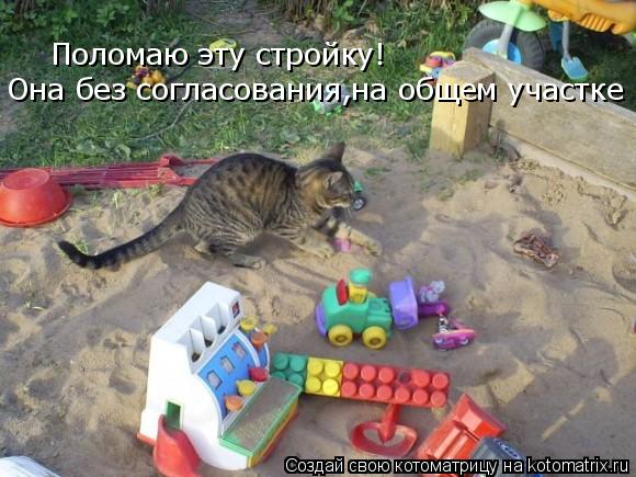 Поломаю эту стройку! Она без согласования,на общем участке... Котоматрица: Поломаю эту стройку! Она без согласования,на общем участке