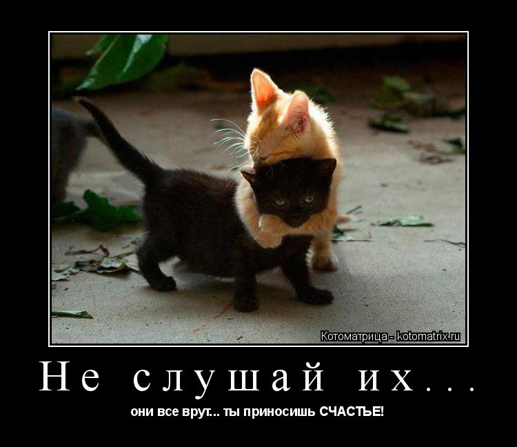 Не слушай их... они все врут... ты приносишь СЧАСТЬЕ!... Котоматрица: Не слушай их... они все врут... ты приносишь СЧАСТЬЕ!