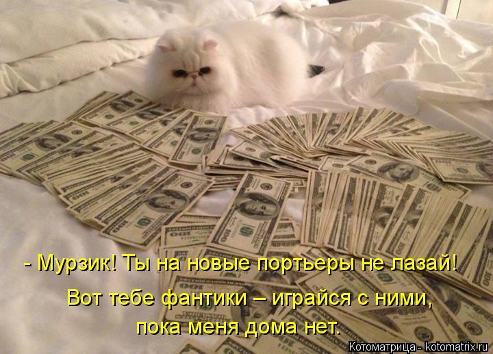 - Мурзик! Ты на новые портьеры не лазай! Вот тебе фантики – играйся с ними, пока меня дома нет.... Котоматрица: - Мурзик! Ты на новые портьеры не лазай! Вот тебе фантики – играйся с ними, пока меня дома нет.