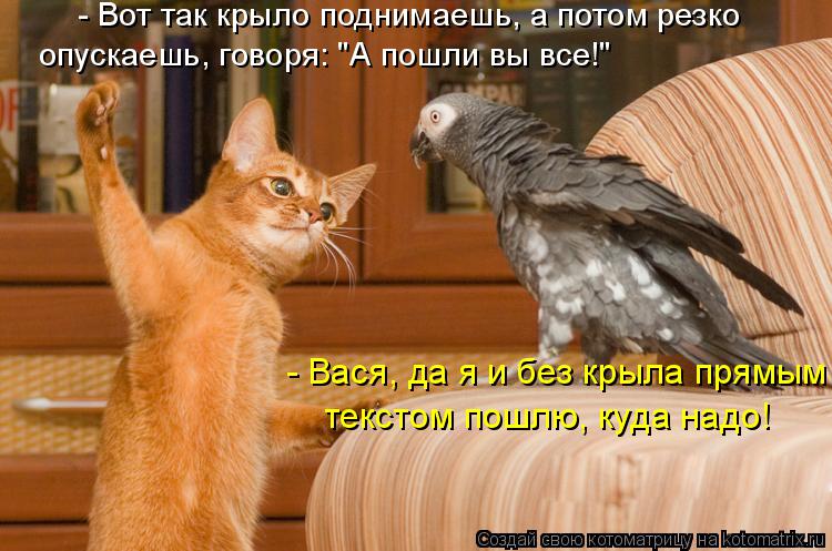 - Вот так крыло поднимаешь, а потом резко опускаешь, говоря: "А пошли вы все!" - Вася, да я и без кры... Котоматрица: - Вот так крыло поднимаешь, а потом резко опускаешь, говоря: "А пошли вы все!" - Вася, да я и без крыла прямым текстом пошлю, куда надо!