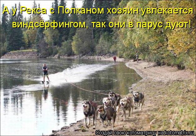 А у Рекса с Полканом хозяин увлекается виндсёрфингом, так они в парус дуют!... Котоматрица: А у Рекса с Полканом хозяин увлекается виндсёрфингом, так они в парус дуют!