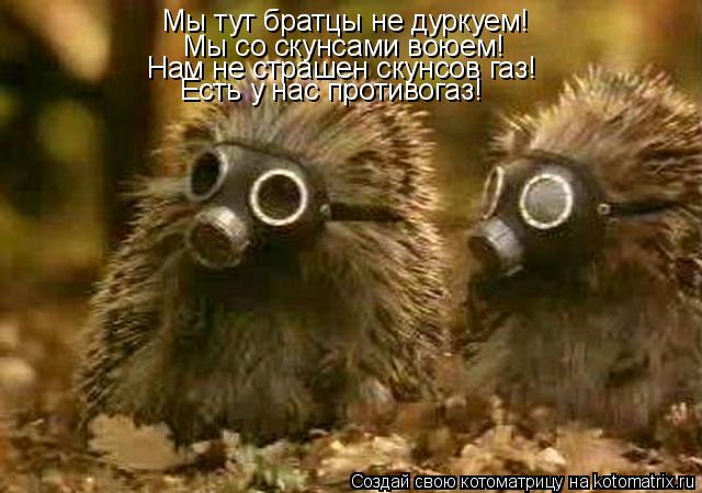 Мы тут братцы не дуркуем! Мы со скунсами воюем! Нам не страшен скунсов газ! Есть у нас противогаз!... Котоматрица: Мы тут братцы не дуркуем! Мы со скунсами воюем! Нам не страшен скунсов газ! Есть у нас противогаз!
