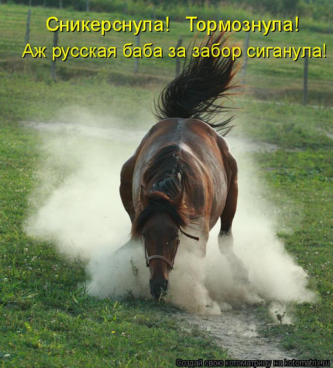 Аж русская баба за забор сиганула! Сникерснула! Тормознула!... Котоматрица: Аж русская баба за забор сиганула! Сникерснула! Тормознула!