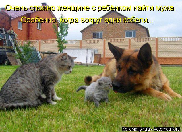 Очень сложно женщине с ребёнком найти мужа. Особенно, когда вокруг одни кобели...... Котоматрица: Очень сложно женщине с ребёнком найти мужа. Особенно, когда вокруг одни кобели...