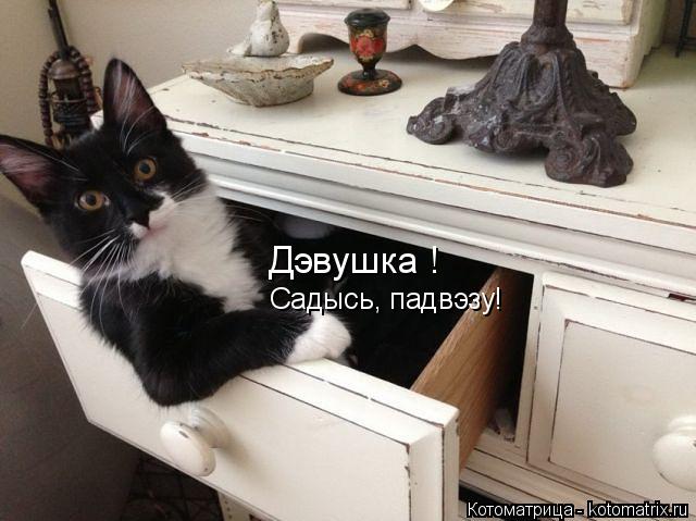 Дэвушка ! Садысь, падвэзу!... Котоматрица: Дэвушка ! Садысь, падвэзу!