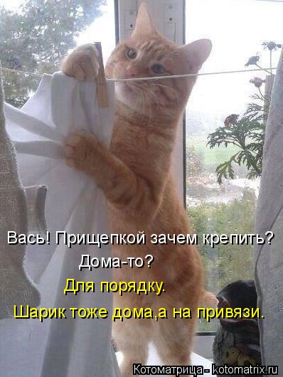 Вась! Прищепкой зачем крепить? Дома-то? Для порядку. Шарик тоже дома,а на привязи.... Котоматрица: Вась! Прищепкой зачем крепить? Дома-то? Для порядку. Шарик тоже дома,а на привязи.