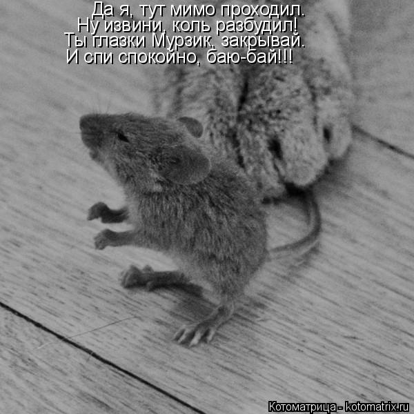 Да я, тут мимо проходил. Ну извини, коль разбудил! Ты глазки Мурзик, закрывай. И спи спокойно, баю-ба... Котоматрица: Да я, тут мимо проходил. Ну извини, коль разбудил! Ты глазки Мурзик, закрывай. И спи спокойно, баю-бай!!!