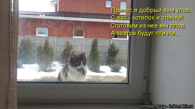 Принес я добрый вам улов, С вас - котелок и спички! Сготовим из нее мы плов, А завтра будут птички..... Котоматрица: Принес я добрый вам улов, С вас - котелок и спички! Сготовим из нее мы плов, А завтра будут птички...