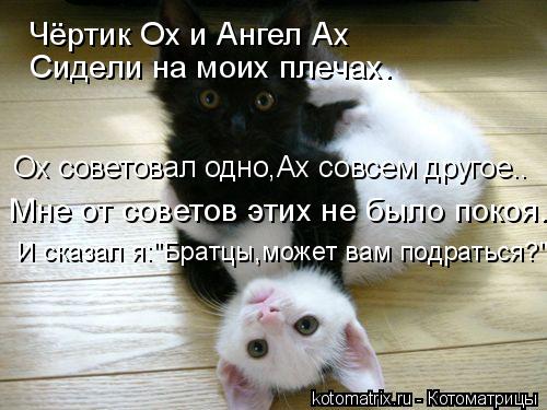 Чёртик Ох и Ангел Ах Сидели на моих плечах. Ох советовал одно,Ах совсем другое.. Мне от советов этих ... Котоматрица: Чёртик Ох и Ангел Ах Сидели на моих плечах. Ох советовал одно,Ах совсем другое.. Мне от советов этих не было покоя. И сказал я:"Братцы,может ва