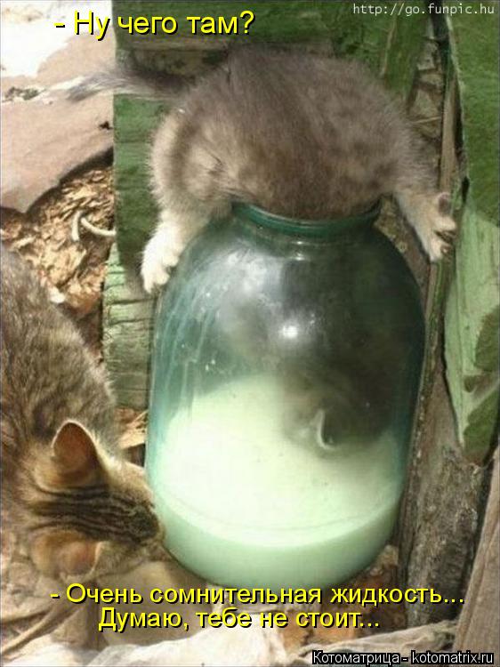 - Ну чего там? - Очень сомнительная жидкость... Думаю, тебе не стоит...... Котоматрица: - Ну чего там? - Очень сомнительная жидкость... Думаю, тебе не стоит...