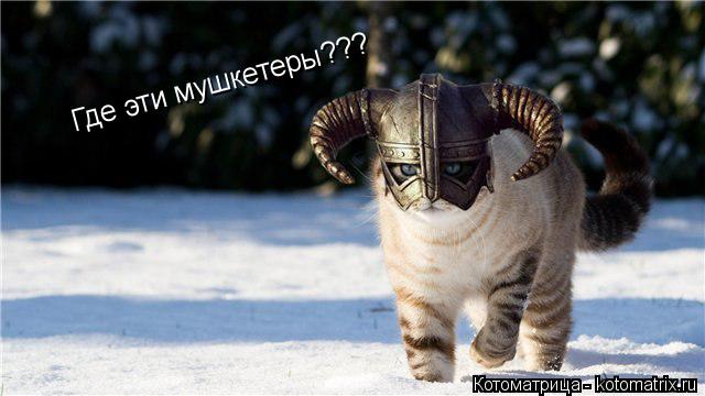 Где эти мушкетеры???... Котоматрица: Где эти мушкетеры???