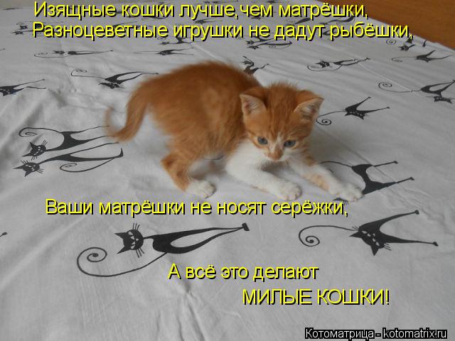 Изящные кошки лучше,чем матрёшки, Разноцеветные игрушки не дадут рыбёшки, Ваши матрёшки не носят серё... Котоматрица: Изящные кошки лучше,чем матрёшки, Разноцеветные игрушки не дадут рыбёшки, Ваши матрёшки не носят серёжки, А всё это делают МИЛЫЕ КОШКИ!