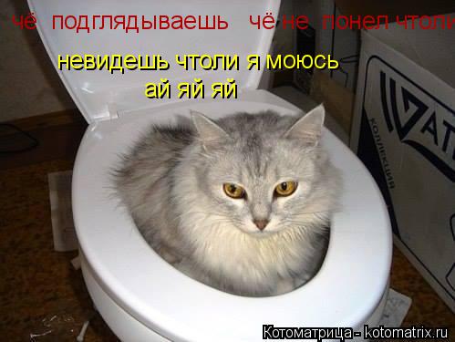 чё подглядываешь чё не понел чтоли невидешь чтоли я моюсь ай яй яй... Котоматрица: чё подглядываешь чё не понел чтоли невидешь чтоли я моюсь ай яй яй