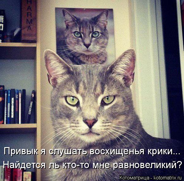 Привык я слушать восхищенья крики... Найдется ль кто-то мне равновеликий?... Котоматрица: Привык я слушать восхищенья крики... Найдется ль кто-то мне равновеликий?