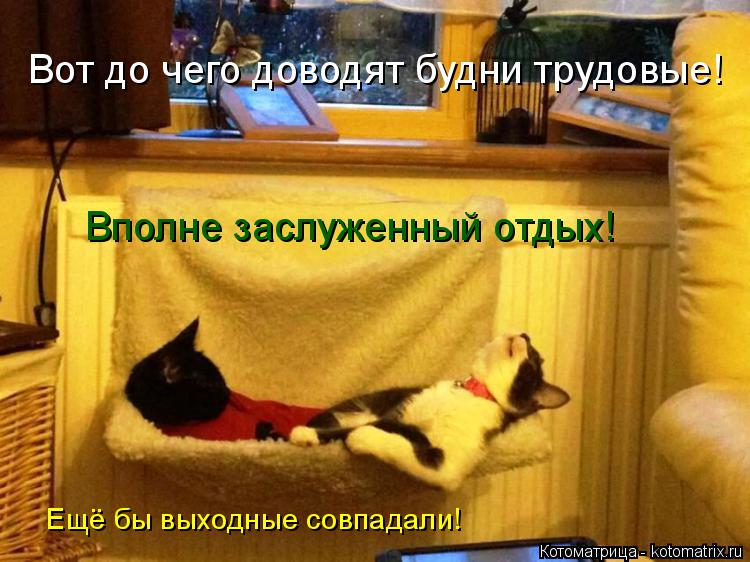 Вот до чего доводят будни трудовые! Вполне заслуженный отдых! Ещё бы выходные совпадали!... Котоматрица: Вот до чего доводят будни трудовые! Вполне заслуженный отдых! Ещё бы выходные совпадали!