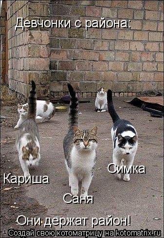Девчонки с района: Кариша Симка Саня Они держат район!... Котоматрица: Девчонки с района: Кариша Симка Саня Они держат район!