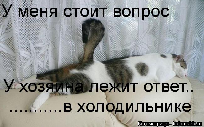 У меня стоит вопрос У хозяина лежит ответ.. ...........в холодильнике... Котоматрица: У меня стоит вопрос У хозяина лежит ответ.. ...........в холодильнике