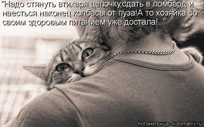 "Надо стянуть втихаря цепочку,сдать в ломбард и наесться наконец колбасы от пуза!А то хозяйка со свои... Котоматрица: "Надо стянуть втихаря цепочку,сдать в ломбард и наесться наконец колбасы от пуза!А то хозяйка со своим здоровым питанием уже достала!.."