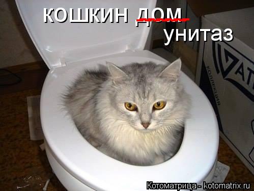кошкин дом ------ ------ унитаз... Котоматрица: кошкин дом ------ ------ унитаз