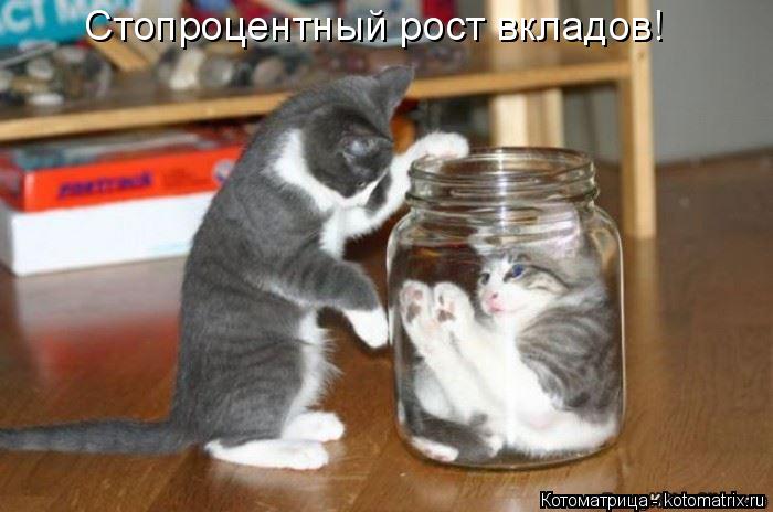 Стопроцентный рост вкладов!... Котоматрица: Стопроцентный рост вкладов!