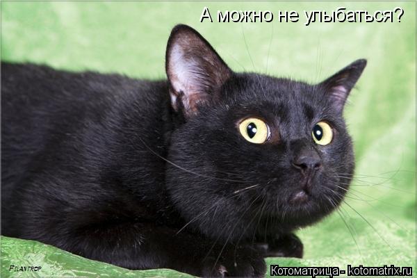 А можно не улыбаться?... Котоматрица: А можно не улыбаться?