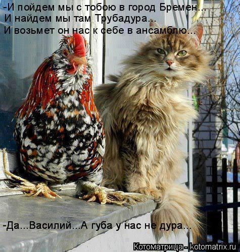 -И пойдем мы с тобою в город Бремен... И возьмет он нас к себе в ансамблю... И найдем мы там Трубадур... Котоматрица: -И пойдем мы с тобою в город Бремен... И возьмет он нас к себе в ансамблю... И найдем мы там Трубадура... -Да...Василий...А губа у нас не дура... -Да...В