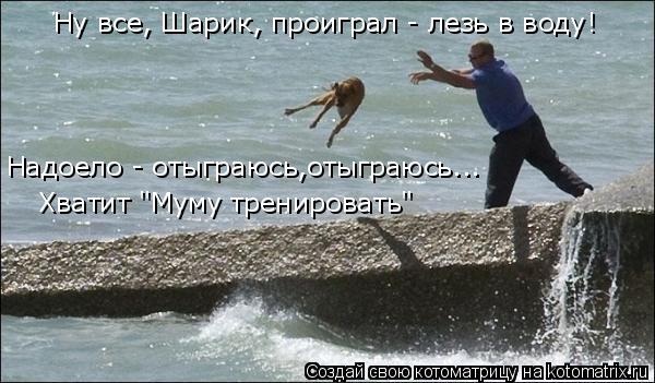 Ну все, Шарик, проиграл - лезь в воду! Надоело - отыграюсь,отыграюсь... Хватит "Муму тренировать"... Котоматрица: Ну все, Шарик, проиграл - лезь в воду! Надоело - отыграюсь,отыграюсь... Хватит "Муму тренировать"