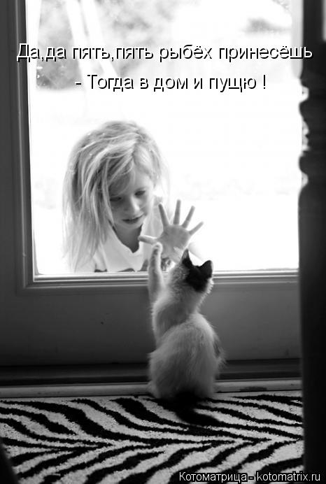 Да,да пять,пять рыбёх принесёшь - Тогда в дом и пущю !... Котоматрица: Да,да пять,пять рыбёх принесёшь - Тогда в дом и пущю !