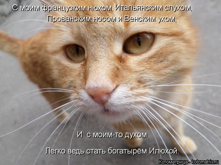 С моим французким нюхом, Итальянским слухом, Прованским носом и Венским ухом, И с моим-то духом Легк... Котоматрица: С моим французким нюхом, Итальянским слухом, Прованским носом и Венским ухом, И с моим-то духом Легко ведь стать богатырём Илюхой.