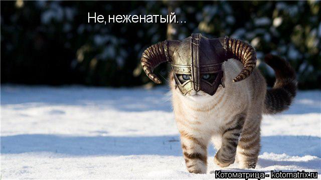Не,неженатый...... Котоматрица: Не,неженатый...