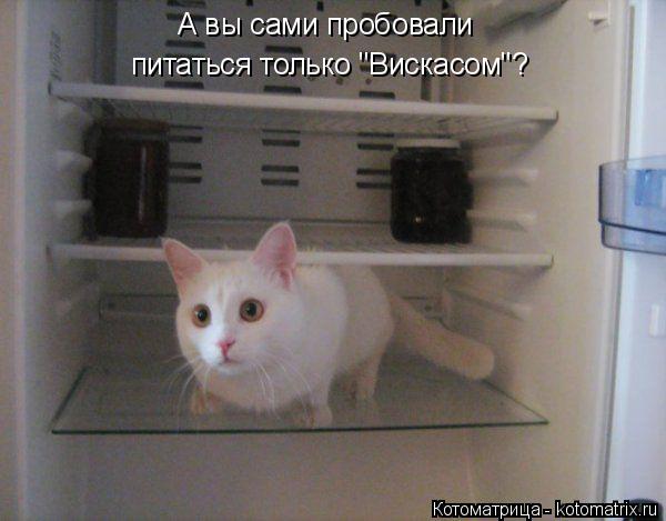 А вы сами пробовали питаться только "Вискасом"?... Котоматрица: А вы сами пробовали питаться только "Вискасом"?