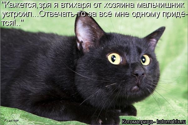 "Кажется,зря я втихаря от хозяина мальчишник устроил...Отвечать-то за всё мне одному придё- тся!.."... Котоматрица: "Кажется,зря я втихаря от хозяина мальчишник устроил...Отвечать-то за всё мне одному придё- тся!.."