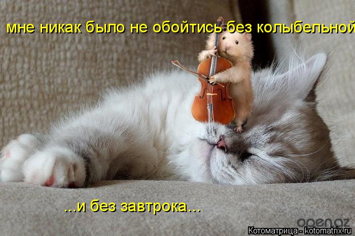мне никак было не обойтись без колыбельной ...и без завтрока...... Котоматрица: мне никак было не обойтись без колыбельной ...и без завтрока...