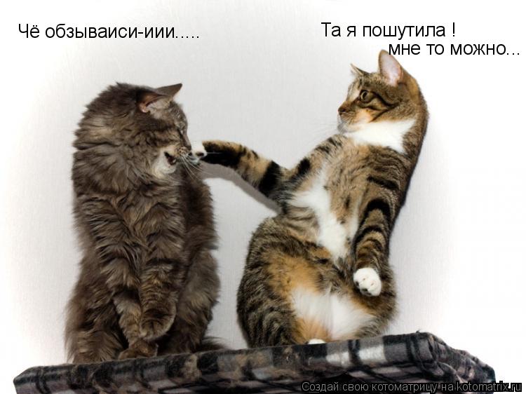 Котоматрица: Чё обзываиси-иии..... Та я пошутила !  мне то можно...