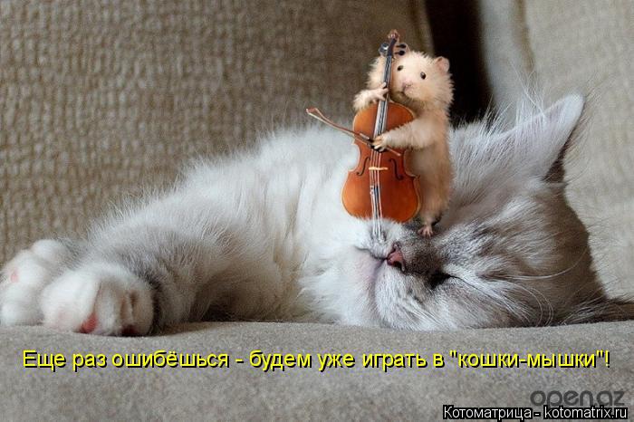 Еще раз ошибёшься - будем уже играть в "кошки-мышки"!... Котоматрица: Еще раз ошибёшься - будем уже играть в "кошки-мышки"!