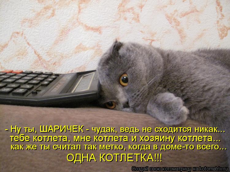 Котоматрица: - Ну ты, ШАРИЧЕК - чудак, ведь не сходится никак... тебе котлета, мне котлета и хозяину котлета... как же ты считал так метко, когда в доме-то всег