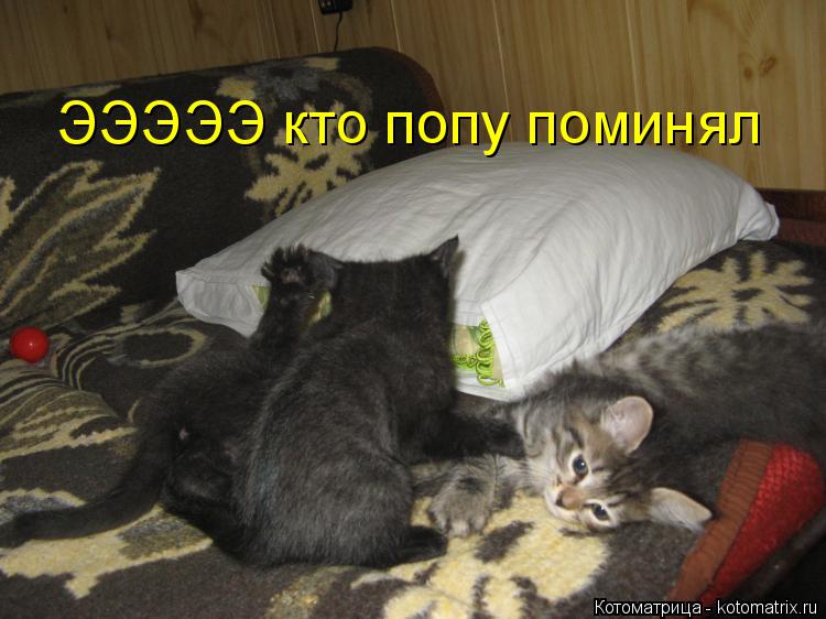 ЭЭЭЭЭ кто попу поминял... Котоматрица: ЭЭЭЭЭ кто попу поминял