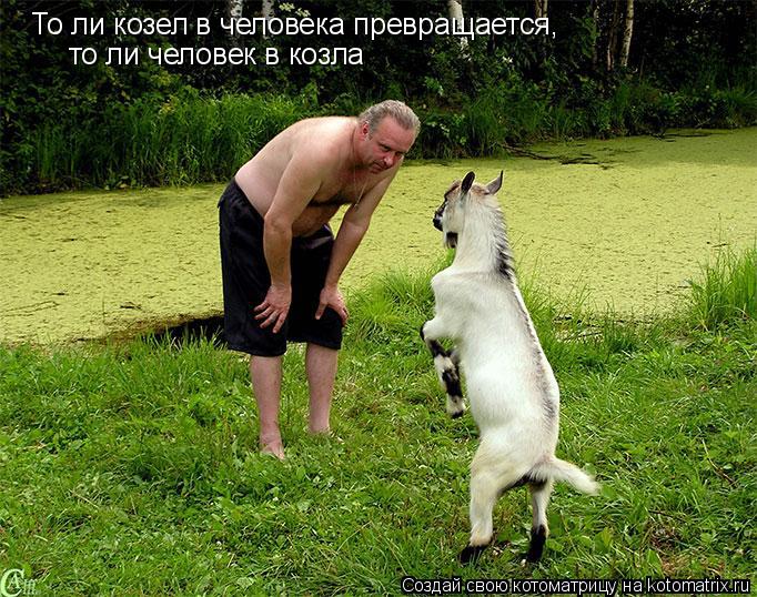 То ли козел в человека превращается, то ли человек в козла... Котоматрица: То ли козел в человека превращается, то ли человек в козла