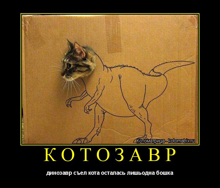 КОТОЗАВР динозавр съел кота осталась лишьодна бошка... Котоматрица: КОТОЗАВР динозавр съел кота осталась лишьодна бошка