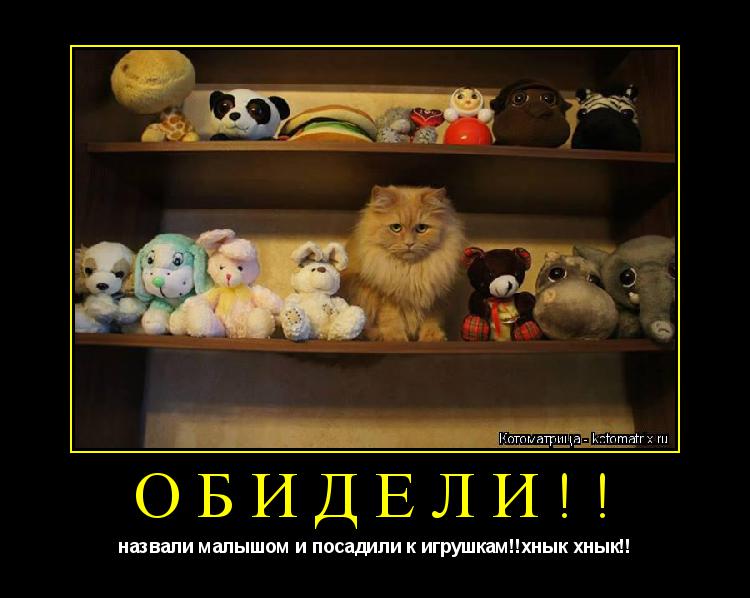 ОБИДЕЛИ!! назвали малышом и посадили к игрушкам!!хнык хнык!!... Котоматрица: ОБИДЕЛИ!! назвали малышом и посадили к игрушкам!!хнык хнык!!