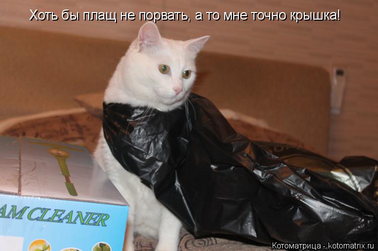 Хоть бы плащ не порвать, а то мне точно крышка!... Котоматрица: Хоть бы плащ не порвать, а то мне точно крышка!