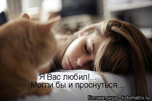 Котоматрица: Я Вас любил!...  Могли бы и проснуться...