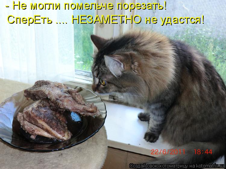 Котоматрица: - Не могли помельче порезать! СперЕть .... НЕЗАМЕТНО не удастся!