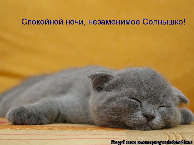Спокойной ночи, незаменимое Солнышко!... Котоматрица: Спокойной ночи, незаменимое Солнышко!