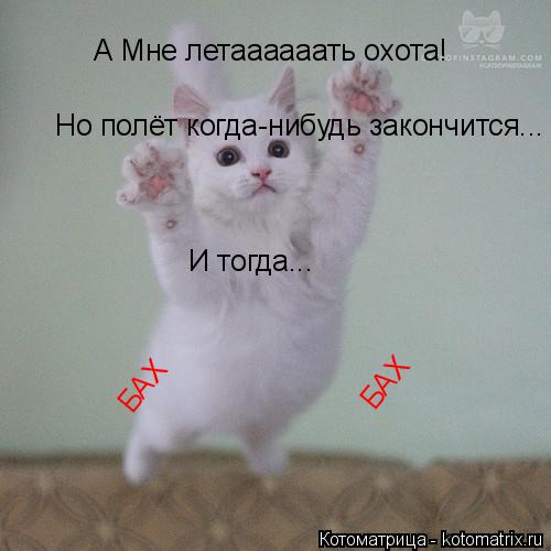 Котоматрица: А Мне летаааааать охота! Но полёт когда-нибудь закончится...  И тогда... БАХ БАХ