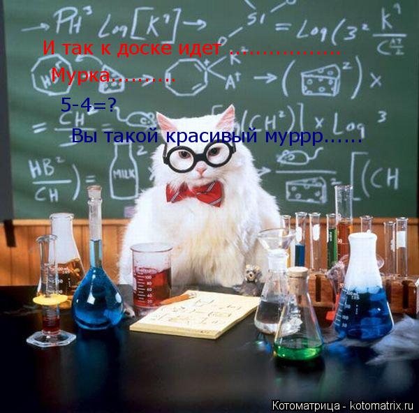 И так к доске идет ................. Мурка.......... 5-4=? Вы такой красивый муррр......... Котоматрица: И так к доске идет ................. Мурка.......... 5-4=? Вы такой красивый муррр......