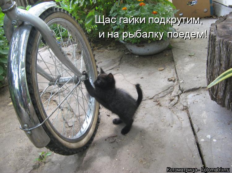 Котоматрица: Щас гайки подкрутим, и на рыбалку поедем!